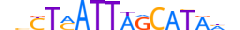PO3F2.H13RSNP.2.SM.D motif logo (POU3F2 gene, PO3F2_HUMAN protein)
