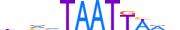 PO3F3.H13RSNP.2.S.D motif logo (POU3F3 gene, PO3F3_HUMAN protein)