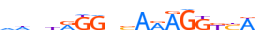 PPARA.H13RSNP.0.P.D motif logo (PPARA gene, PPARA_HUMAN protein)