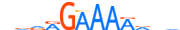 PRDM6.H13RSNP.0.P.D motif logo (PRDM6 gene, PRDM6_HUMAN protein)