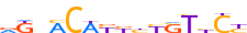 PRGR.H13RSNP.0.P.B motif logo (PGR gene, PRGR_HUMAN protein)