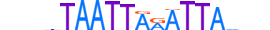 PROP1.H13RSNP.0.PSM.A motif logo (PROP1 gene, PROP1_HUMAN protein)
