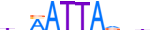 PROP1.H13RSNP.1.P.C motif logo (PROP1 gene, PROP1_HUMAN protein)