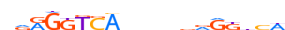 RARA.H13RSNP.1.P.B motif logo (RARA gene, RARA_HUMAN protein)