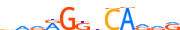 RARB.H13RSNP.1.P.D motif logo (RARB gene, RARB_HUMAN protein)