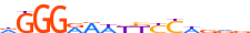 REL.H13RSNP.0.P.D motif logo (REL gene, REL_HUMAN protein)