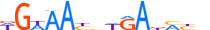 SIX2.H13RSNP.0.P.B motif logo (SIX2 gene, SIX2_HUMAN protein)