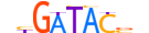 SIX2.H13RSNP.2.SM.B motif logo (SIX2 gene, SIX2_HUMAN protein)