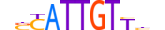 SOX10.H13RSNP.1.PSM.A motif logo (SOX10 gene, SOX10_HUMAN protein)