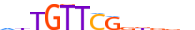 SOX10.H13RSNP.2.S.C motif logo (SOX10 gene, SOX10_HUMAN protein)