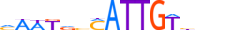 SOX3.H13RSNP.1.S.C motif logo (SOX3 gene, SOX3_HUMAN protein)