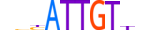 SOX9.H13RSNP.1.PS.A motif logo (SOX9 gene, SOX9_HUMAN protein)