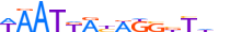 SP7.H13RSNP.0.P.D motif logo (SP7 gene, SP7_HUMAN protein)