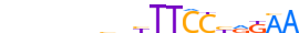 STAT1.H13RSNP.0.P.B motif logo (STAT1 gene, STAT1_HUMAN protein)