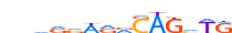 TAL1.H13RSNP.2.P.B motif logo (TAL1 gene, TAL1_HUMAN protein)