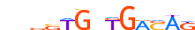 TBX20.H13RSNP.0.P.C motif logo (TBX20 gene, TBX20_HUMAN protein)