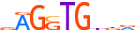 TBX4.H13RSNP.0.PS.D motif logo (TBX4 gene, TBX4_HUMAN protein)