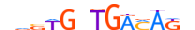 TBX5.H13RSNP.1.P.D motif logo (TBX5 gene, TBX5_HUMAN protein)