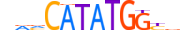 TCF21.H13RSNP.1.SM.B motif logo (TCF21 gene, TCF21_HUMAN protein)