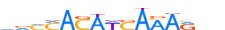 TCF7.H13RSNP.0.PSM.A motif logo (TCF7 gene, TCF7_HUMAN protein)