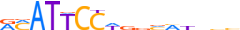 TEAD4.H13RSNP.1.P.B motif logo (TEAD4 gene, TEAD4_HUMAN protein)