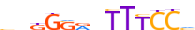 TF65.H13RSNP.0.P.B motif logo (RELA gene, TF65_HUMAN protein)