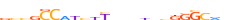 THAP1.H13RSNP.0.P.D motif logo (THAP1 gene, THAP1_HUMAN protein)