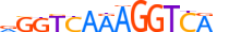THB.H13RSNP.2.SM.D motif logo (THRB gene, THB_HUMAN protein)