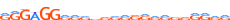 VEZF1.H13RSNP.1.P.B motif logo (VEZF1 gene, VEZF1_HUMAN protein)