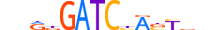 ZBTB5.H13RSNP.0.SGI.D motif logo (ZBTB5 gene, ZBTB5_HUMAN protein)