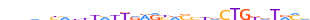 ZKSC8.H13RSNP.0.P.D motif logo (ZKSCAN8 gene, ZKSC8_HUMAN protein)