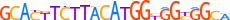 ZN100.H13RSNP.0.P.D motif logo (ZNF100 gene, ZN100_HUMAN protein)