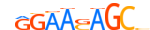 ZN341.H13RSNP.0.P.B motif logo (ZNF341 gene, ZN341_HUMAN protein)