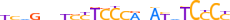 ZN485.H13RSNP.0.P.D motif logo (ZNF485 gene, ZN485_HUMAN protein)