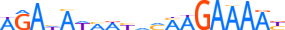 ZN570.H13RSNP.0.P.D motif logo (ZNF570 gene, ZN570_HUMAN protein)