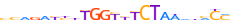 ZN605.H13RSNP.0.P.D motif logo (ZNF605 gene, ZN605_HUMAN protein)