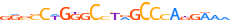 ZN765.H13RSNP.0.P.D motif logo (ZNF765 gene, ZN765_HUMAN protein)