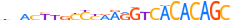 ZN768.H13RSNP.1.P.D motif logo (ZNF768 gene, ZN768_HUMAN protein)