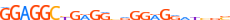 ZN770.H13RSNP.1.P.B motif logo (ZNF770 gene, ZN770_HUMAN protein)