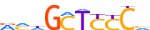 ZN790.H13RSNP.1.P.D motif logo (ZNF790 gene, ZN790_HUMAN protein)