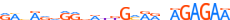 ZN823.H13RSNP.0.P.D motif logo (ZNF823 gene, ZN823_HUMAN protein)