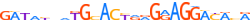 ZN875.H13RSNP.0.P.D motif logo (ZNF875 gene, ZN875_HUMAN protein)