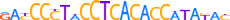 ZNF10.H13RSNP.0.P.D motif logo (ZNF10 gene, ZNF10_HUMAN protein)