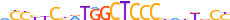 ZNF16.H13RSNP.0.P.D motif logo (ZNF16 gene, ZNF16_HUMAN protein)