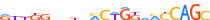 ZNF728.H13RSNP.0.PSG.D motif logo (ZNF728 gene, ZN728_HUMAN protein)