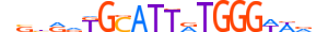 ZNF76.H13RSNP.1.SM.B motif logo (ZNF76 gene, ZNF76_HUMAN protein)